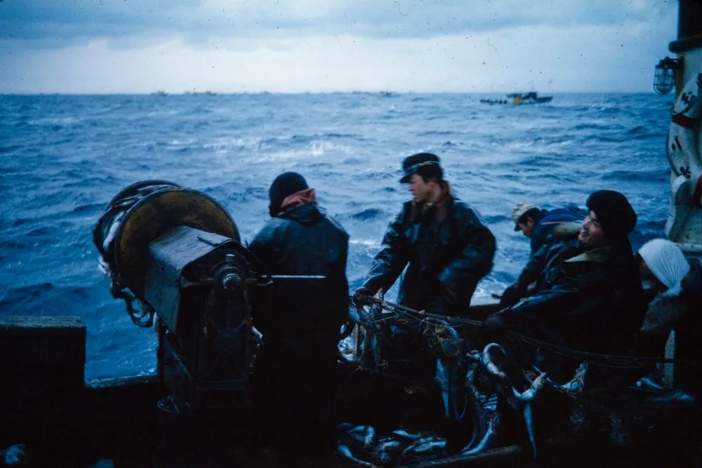 Japan Series: Furubira