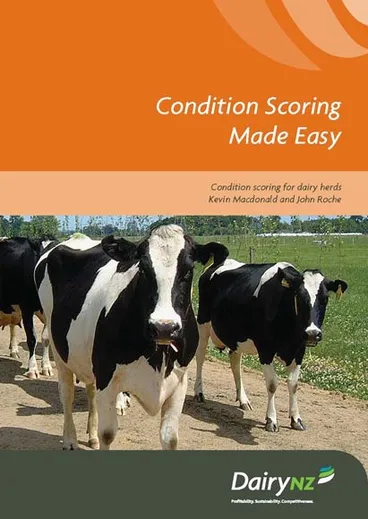 Image: DairyNZ publication