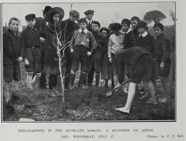 Tree-Planting In The Auckland Domain Image: Tree-Planting In The Auckland Domain