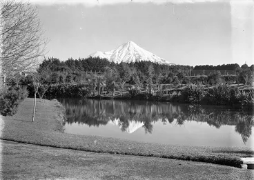 Image: Ngaere Gardens