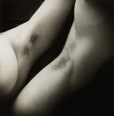 Image: Night Hawk. No. 9. Untitled