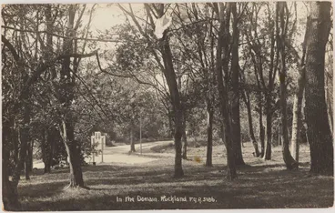 Image: Auckland Domain