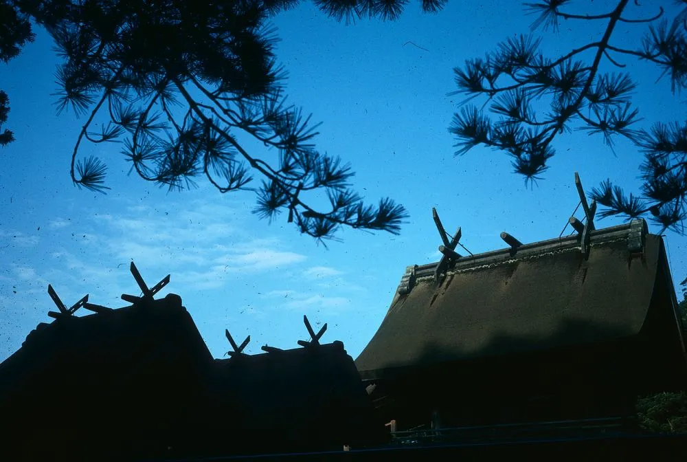 Japan series: Izumo Shrine