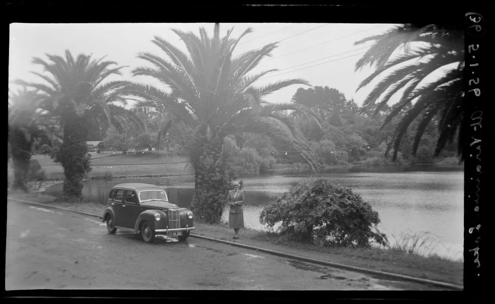 At Virginia Lake (Wanganui)