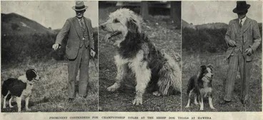 Image: Prominent contenders for champion titles at the sheep dog trials at Hawera