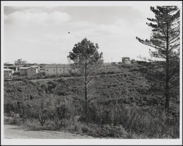 Image: Castor Bay Battery, 1944