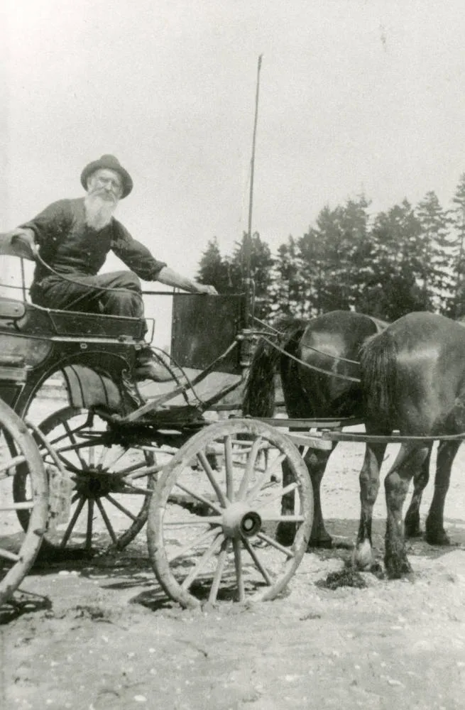 Peter Brown senior, of Browns Bay, seated on wagon.
