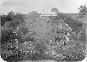 Image: Frear House & garden