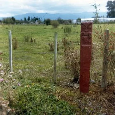 Image: Papawai whakapakoko: Photograph