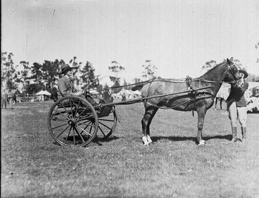 Image: Horse and Trap at the Canterbury A & P Show, Christchurch, New Zealand