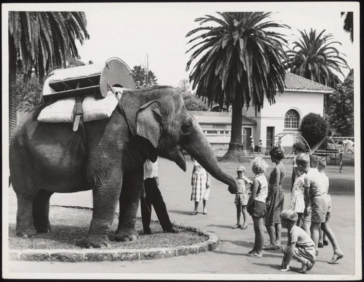 Children standing near an elephant at the Auckland Zoo