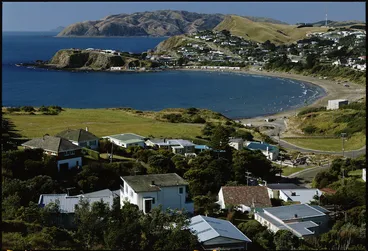 Image: View of Titahi Bay