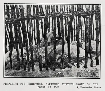 Preparing For Christmas Image: Preparing For Christmas