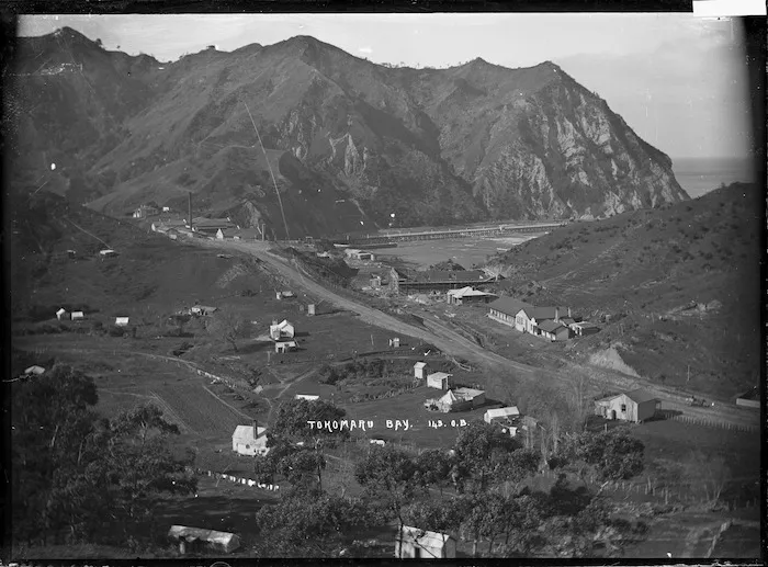 Freezing works and settlement at Waima, Tokomaru Bay