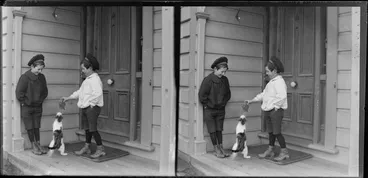 Image: Edgar Richard and Owen William Williams on verandah playing with cat [Williams' Royal Terrace House, Kew?] Dunedin, Otago Region