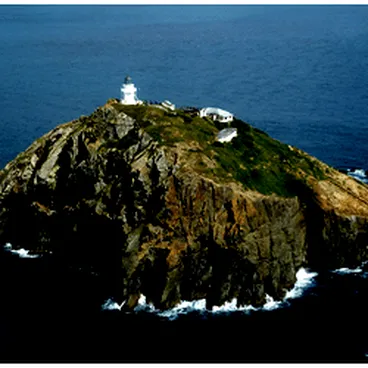 Image: North Brother Island in the Cook Strait of Zealand.