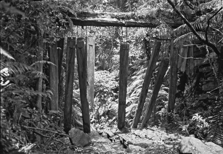 Dam remains on Piha Stream.