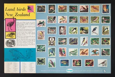 Image: Land birds of New Zealand