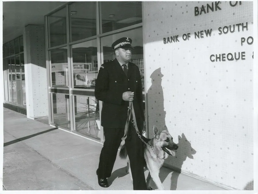 Maori Police in Wellington