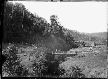 Image: Bridge in Moore's Valley, Wainuiomata, Lower Hutt