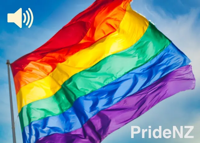 35th anniversary panel discussion on homosexual law reform