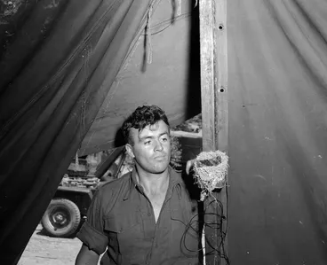 Image: New Zealand soldier and nest of Korean swallow chicks