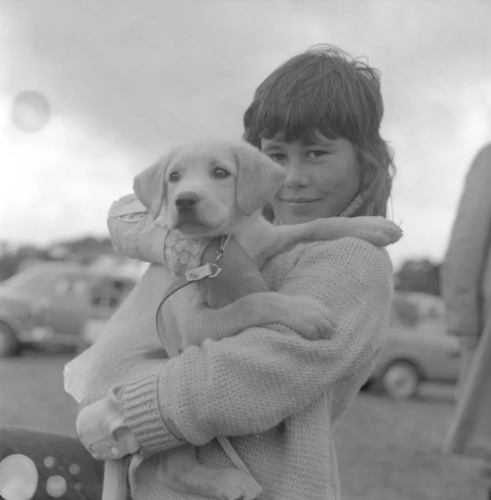 A & P show; pet parade; puppy