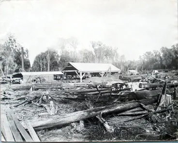 Image: Bartholomew & Dunns' Sawmill (Levin), c.1889