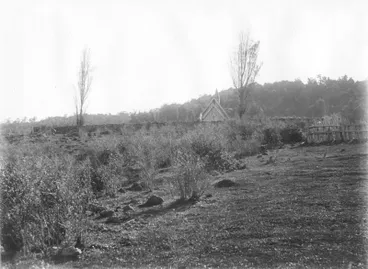 Image: Ōhaeawai, Northland