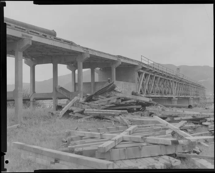 Petone bridge, Lower Hutt