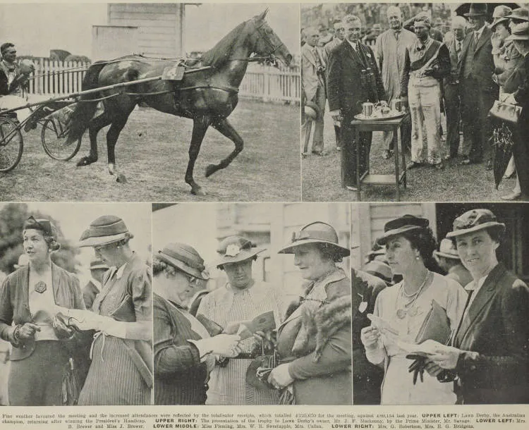 Auckland Trotting Club race meeting at Alexandra Park