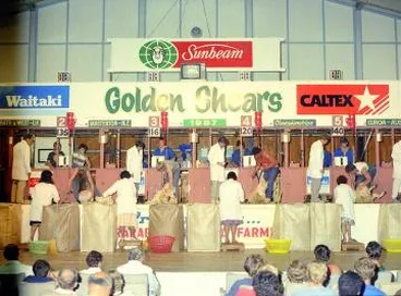 Image: Junior grade shearers at Golden Shears : digital image
