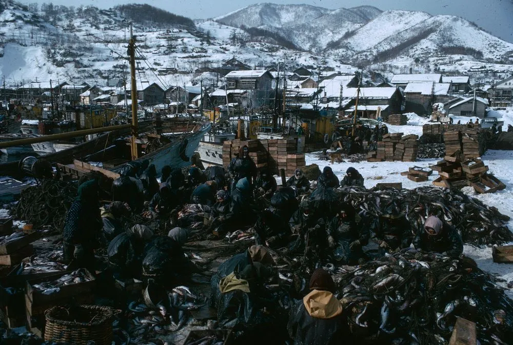 Japan series: Furubira port