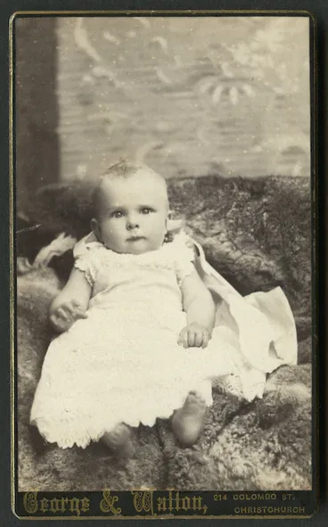 Image: George & Walton (Christchurch) fl 1884-1886 :Frederick Anthony Wilding