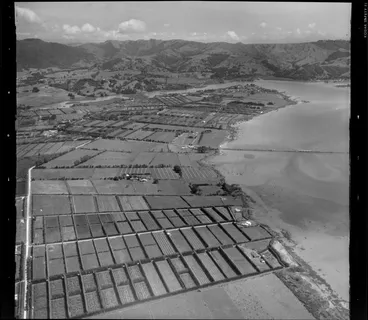 Image: Point Wells, Matakana, Rodney District, Auckland
