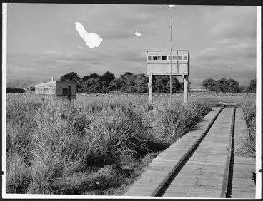Image: Shore of Lake Horowhenua, with the Levin Sailing Club's judges' and official's stand and boat ramp