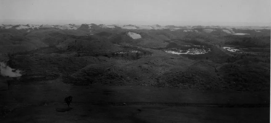 Sand Dune Belt to the West of Lake Horowhenua