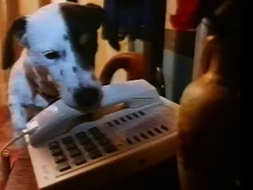 Image: Spot - Telecom 