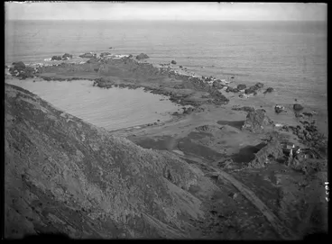 Image: Nature Studies