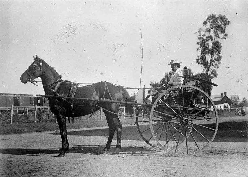 Mrs H. Douglas Driving
