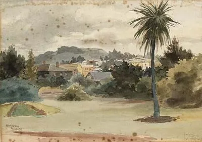 Domain Looking Towards Mt Eden