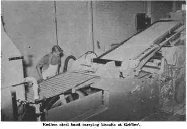 Image: Endless steel band carrying biscuits at Griffins'