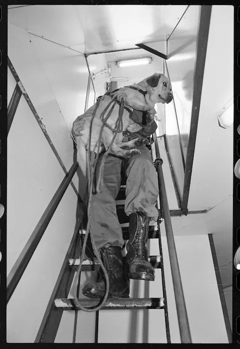 Ace, a customs drug dog and his handler - Photograph taken by Phil Reid