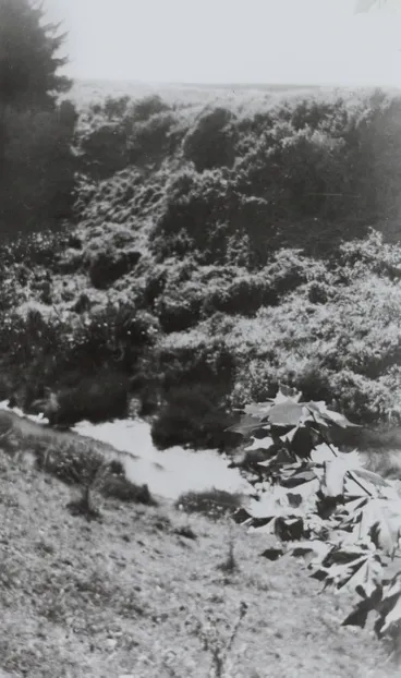 Image: Pa site, Papatoetoe, 1948.