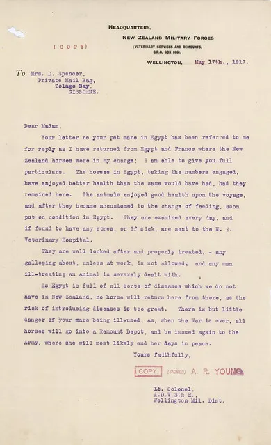 Demobilisation - Horses - Disposal of abroad in World War I