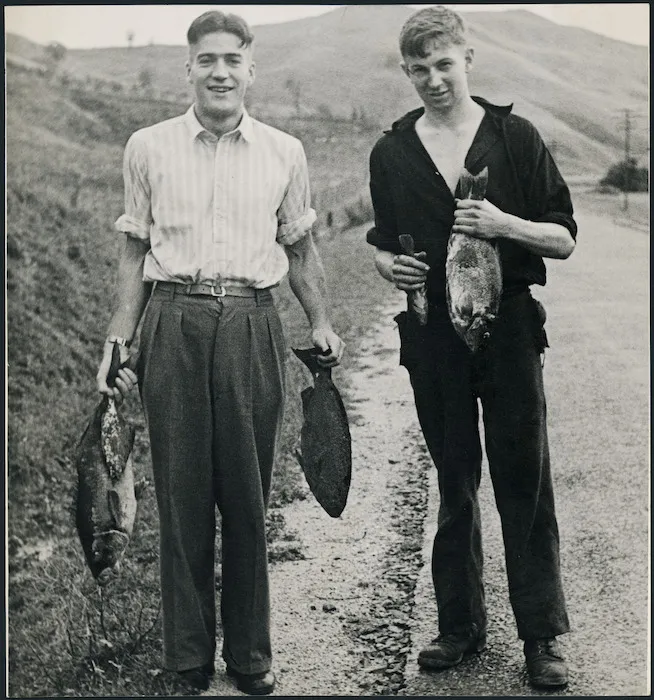 Fish stranded by a tsunami - Photograph taken by Harold J Dunstan