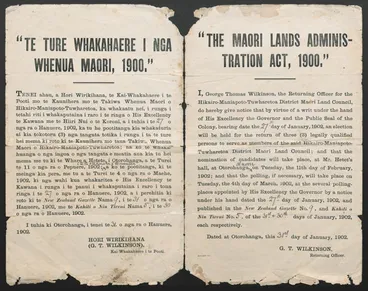 Image: Māori Land Councils, 1902