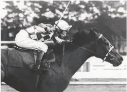 Woman jockey Linda Jones riding Big Bickies, her first winner against the men in the Council Handicap at Te Rapa Racecourse, Hamilton, New Zealand, August 1978 / Bruce Postle