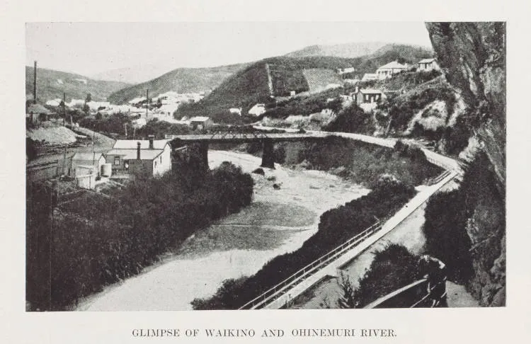 Glimpse of Waikino and Ohinemuri River