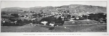 Image: WELLINGTON'S CATTLE MARKET: A PANORAMIC VIEW OF JOHNSONVILLE. WHERE THE PRINCIPAL STOCK SAL ES OF THE EMPIRE CITY ARE HELD